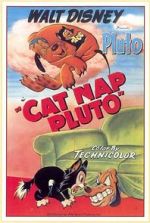 Watch Cat Nap Pluto Moviesjoy