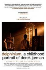 Watch Delphinium: A Childhood Portrait of Derek Jarman Moviesjoy