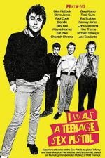 Watch I Was a Teenage Sex Pistol Moviesjoy