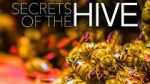 Watch Secrets of the Hive Moviesjoy
