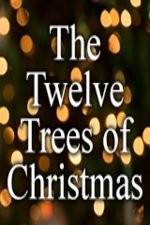 Watch The Twelve Trees of Christmas Moviesjoy