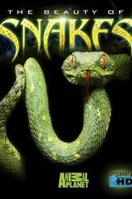 Watch The Beauty of Snakes Moviesjoy