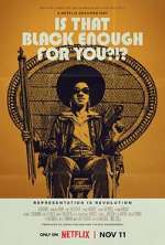 Watch Is That Black Enough for You?!? Moviesjoy
