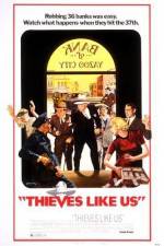 Watch Thieves Like Us Moviesjoy