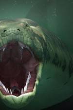 Watch The World's Largest Snake Moviesjoy